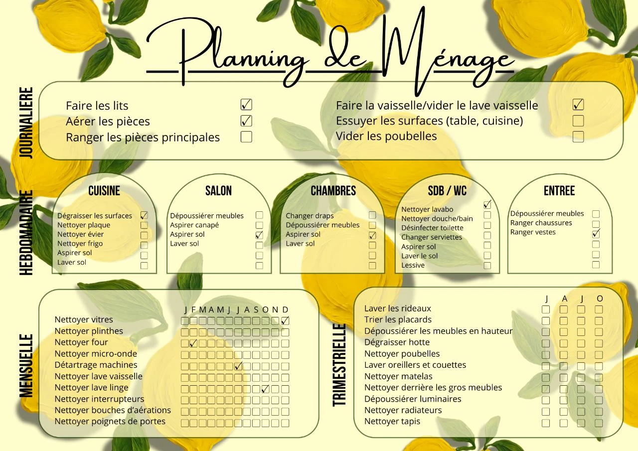 Planificador de Limpieza A4 Laminado Reutilizable – Organización de Tareas Domésticas – photo 6
